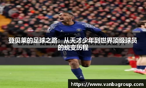 N江南.体育